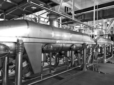 Fluidized bed